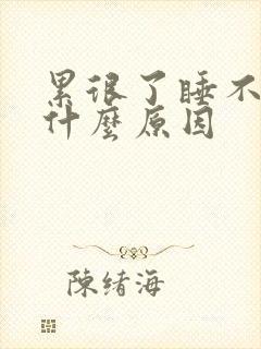 累很了睡不着是什么原因封面