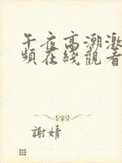 午夜高潮激情视频在线观看