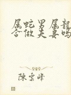 属蛇男属龙女适合做夫妻吗封面