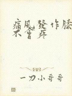 痛风发作膝盖会不会疼