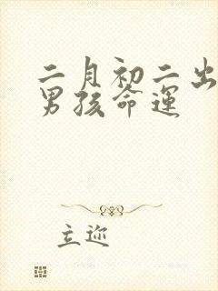 二月初二出生的男孩命运