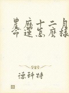 农历十二月的马命运怎么样