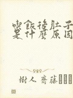 吃饭后肚子胀气是什么原因封面