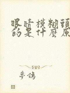 眼睛模糊头晕晕的是什么原因封面