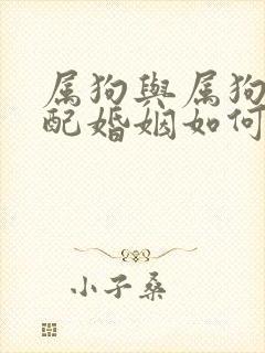 属狗与属狗的相配婚姻如何