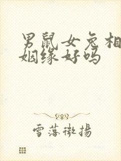 男鼠女兔相配的姻缘好吗