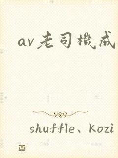 av老司机成人