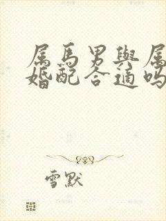 属马男与属羊女婚配合适吗封面