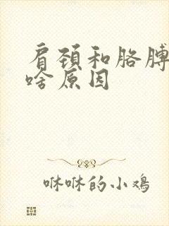 肩颈和胳膊酸疼啥原因