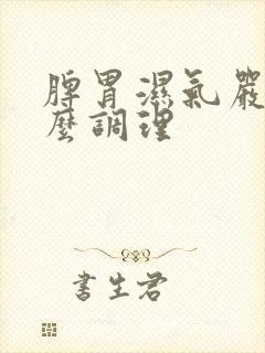 脾胃湿气严重怎么调理