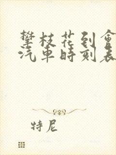 攀枝花到会东县汽车时刻表