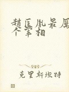 赵匡胤最厉害三个宰相