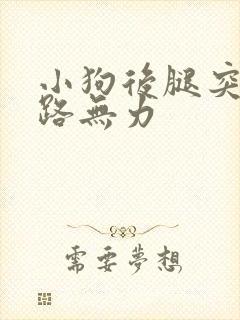 小狗后腿突然走路无力