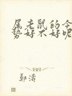 属老鼠的今年运势好不好呢