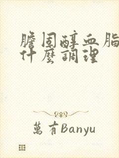 胆固醇血脂高吃什么调理