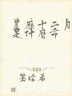 农历十二月初八是什么命封面