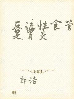 反流性食管炎或是胃炎