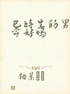 巳时生的男孩子命好吗