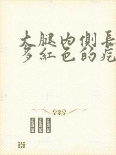 大腿内侧长了好多红色的疙瘩