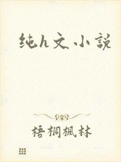纯h文小说