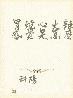 胃烧心火辣辣的感觉是怎么回事封面