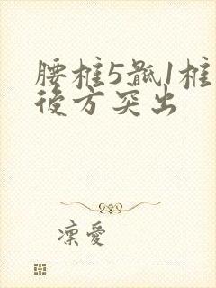 腰椎5骶1椎向后方突出