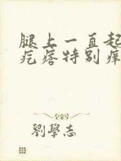 腿上一直起红色疙瘩特别痒咋回事