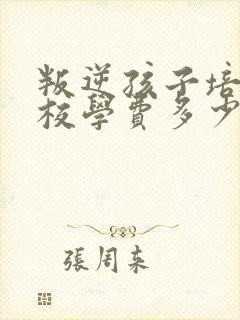 叛逆孩子培训学校学费多少封面