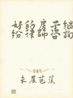 好的房子继承纠纷律师咨询