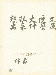 想拉大便又拉不出来什么原因