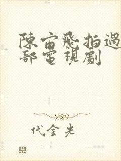 陈宙飞拍过哪几部电视剧