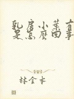 乳房小叶有增生是怎么回事封面