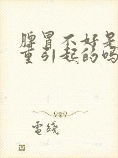 脾胃不好是湿气重引起的吗