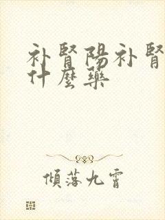 补肾阳补肾精吃什么药