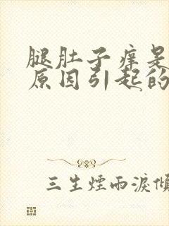 腿肚子痒是什么原因引起的