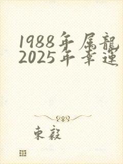 1988年属龙2025年幸运色