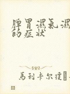 脾胃湿气湿热重的症状