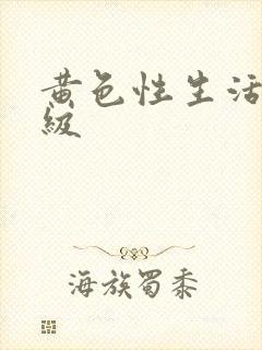 黄色性生活片特级封面