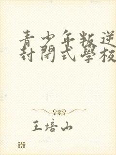 青少年叛逆正规封闭式学校