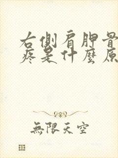 右侧肩胛骨后背疼是什么原因引起的