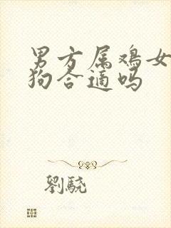 男方属鸡女方属狗合适吗