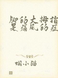 脚的大拇指疼痛是痛风的症状吗