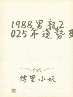 1988男龙2025年运势及运程