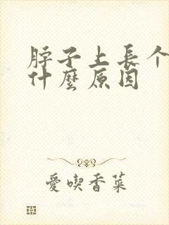 脖子上长个疙瘩什么原因