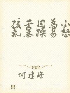 孩子因为小事脾气暴躁易怒