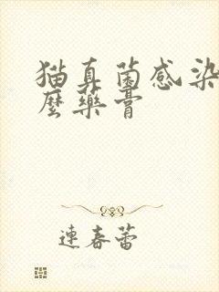 猫真菌感染用什么药膏封面