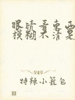 眼睛看东西有时模糊不清是什么原因