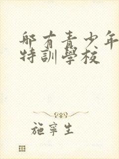 哪有青少年叛逆特训学校封面