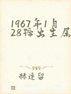 1967年1月28号出生属于啥命封面