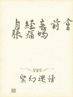 月经来前会乳房胀痛吗封面